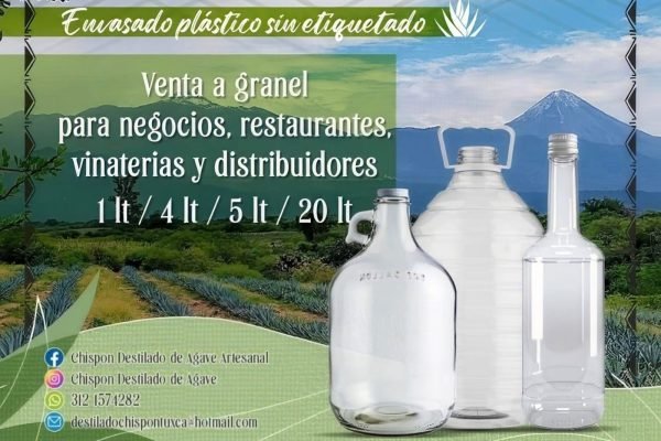 WhatsApp Image 2026-01-06 at 9.28.39 PM